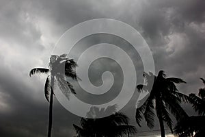 Gray cloud in the sky with strong win  before big storm.