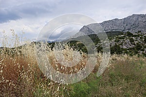 Gray clouds over the mountains and beautiful dry grass on a mountain slope on a rainy summer day, Croatia