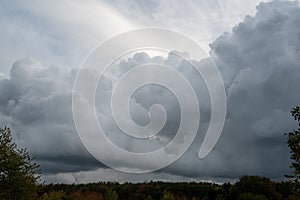 Gray clouds in the sky over green forest