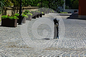 Gray color street fire hydrant installed in cobblestone pavement. green plants background