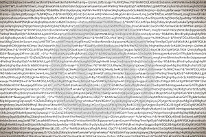 Gray complicated crypto symbols on white, data encryption binary code concept
