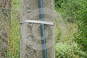 A gray concrete pole with a black plastic hose with electrical wires