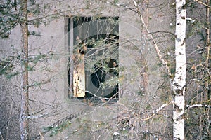 A gray concrete wall with a hole instead of a broken window in an old brick house, trees on its background