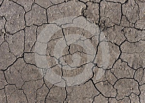 Gray cracked earth background texture