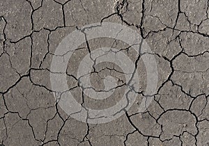 Gray cracked earth background texture