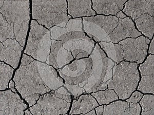 Gray cracked earth background texture