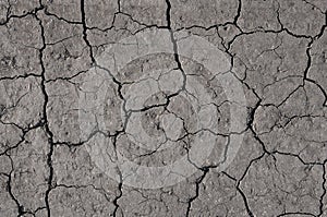 Gray cracked earth background texture