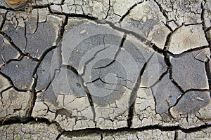 Gray cracked earth background texture