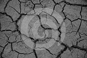 Gray cracked earth background texture