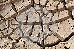 Gray cracked ground closeup - soil detail