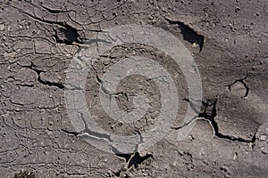 Gray cracked texture-02