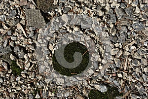 Gray crushed stones with dark green moss, background texture