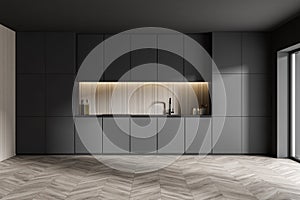 Gray cupboards in white kitchen interior