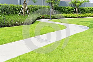 The gray curve pattern walkway, sand washed finishing on concrete paving, a smooth green grass lawn in a garden, trees, shrub