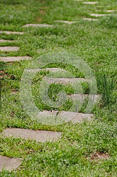Gray curving stepping stone path on green grass