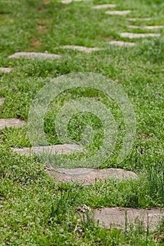 Gray curving stepping stone path on green grass II