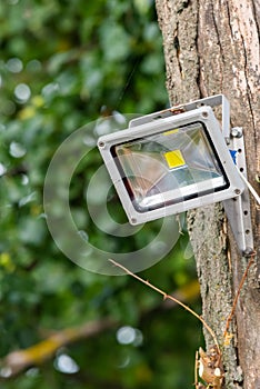 Gray diod spotlight on tree. Lighting equipment photo