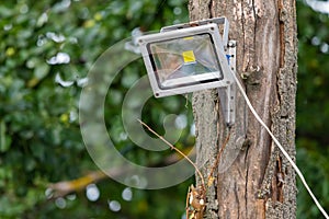 Gray diod spotlight on tree. Lighting equipment photo