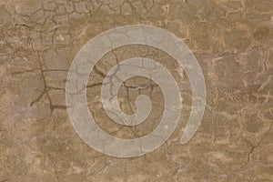 grey dirty cracked plaster wall - flat texture and full frame background