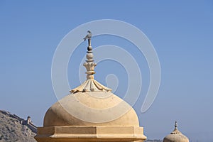 Gray dove on the dome at Amber fort in Jaipur, Rajasthan, India