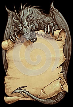 Gray dragon holding an ancient scroll - fantasy illustration