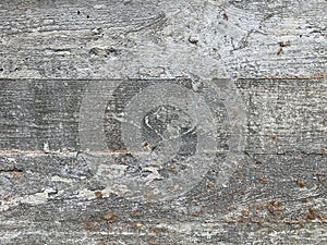 Gray dry aged rough wooden textured as a background