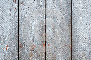 Gray fence boards with cracked paint close-up.