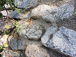 Gray fieldstone wall background pattern of stone