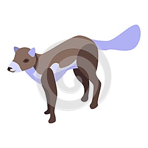 Gray fox icon, isometric style