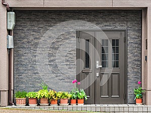 Gray front door with small square decorative windows and flower pots in fron of it