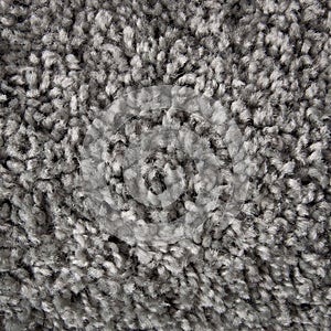 Gray fur texture