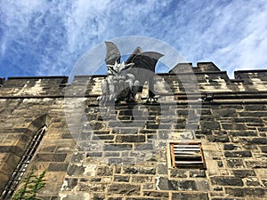 Gray Gargoyle