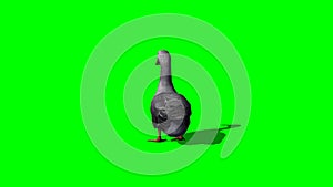 Gray goose walking 3 - green screen