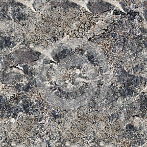 Gray granite stone texture. Seamless square background, tile ready.