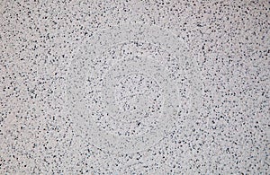 Gray granite texture background