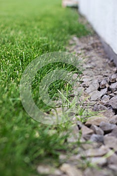 Gray gravel walking path in a grass field