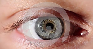 Gray green eye of person looking at camera and blinking closeup