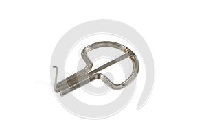 Gray guimbarde on a white