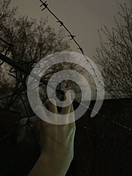 A hand clings to a fence with barbed wire photo