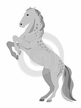 A gray horse on its hind legs. Vector graphics