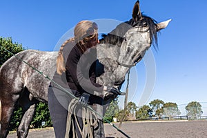 Gray Horse Woman Feed Training Affection Outdoors