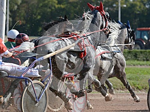 Horses trotter breed in harness horse racing on racecourse. photo