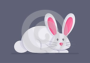 A gray house rabbit isolated on a blue background. Vector illustration of a frightened pet.