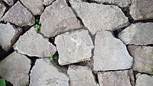 Gray, huge, flat, uneven stones, bricks lie on the ground without cementing. There is grass and deep cracks between rocks. For