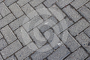 Gray interlocking concrete pavement bricks creating herringbone pattern