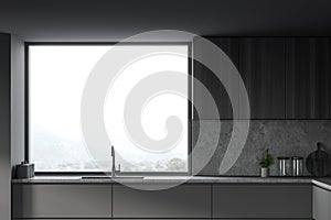 Gray kitchen interior with sink and window