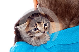 Gray kitten on boy's shoulder