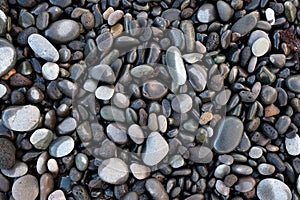 Gray large and small wet and dry round stones.