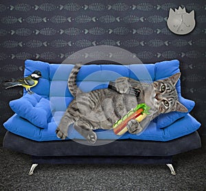 Cat gray on blue divan with hot dog