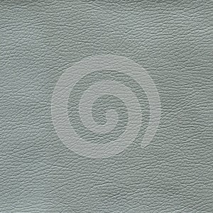 Gray leather textured background.